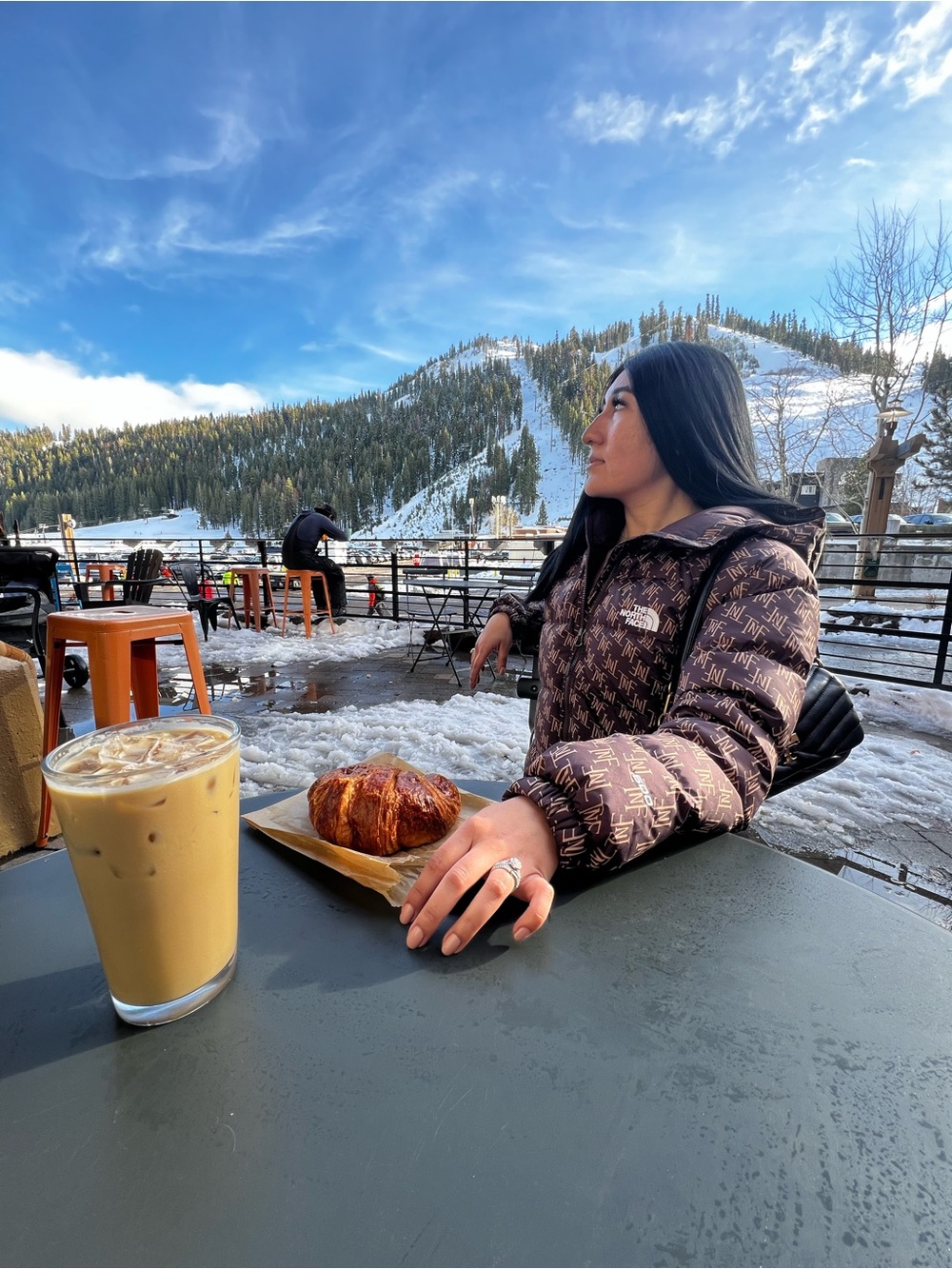 The North Face Brown Logo-Print Puffer Jacket with Hood